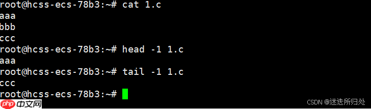 Linux下的基本指令