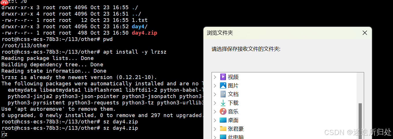 Linux下的基本指令