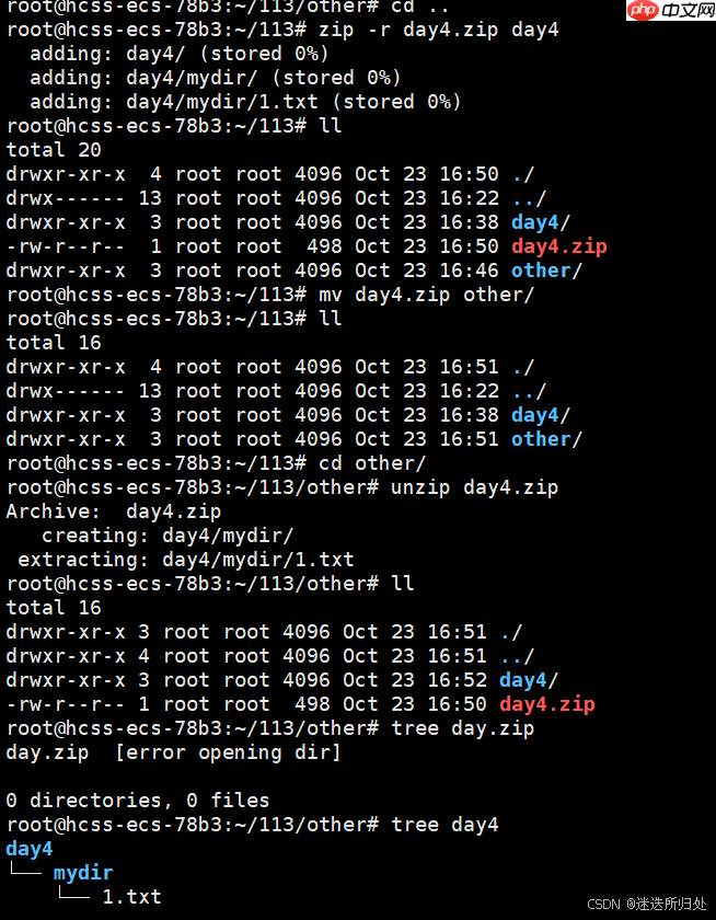 Linux下的基本指令