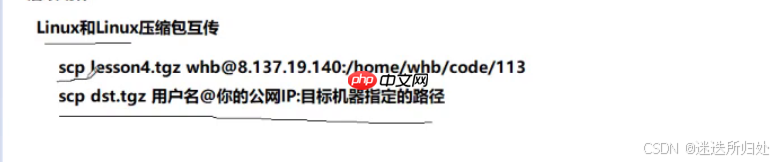 Linux下的基本指令