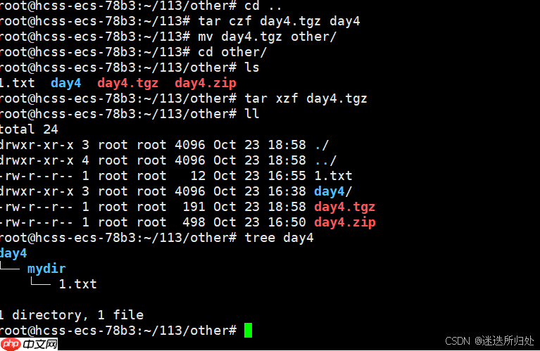 Linux下的基本指令