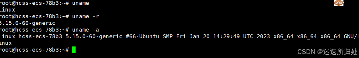 Linux下的基本指令