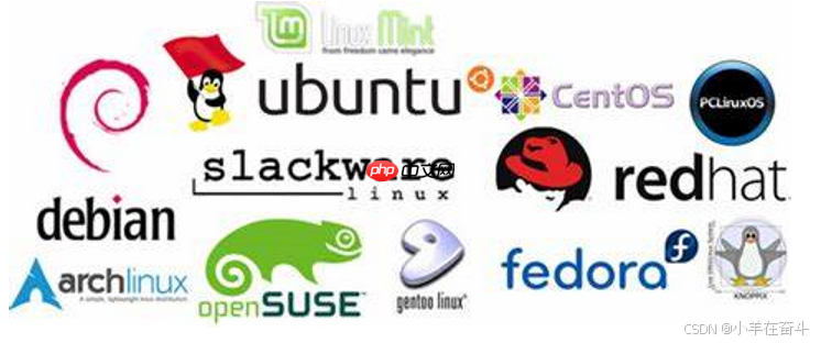 【Linux】萌新看过来！一篇文章带你走进Linux世界