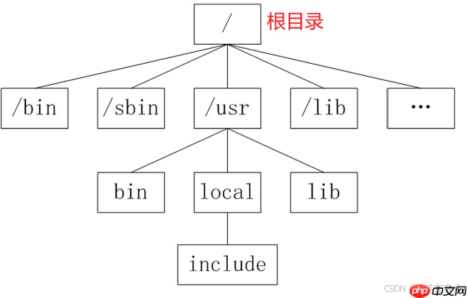 【Linux】萌新看过来！一篇文章带你走进Linux世界