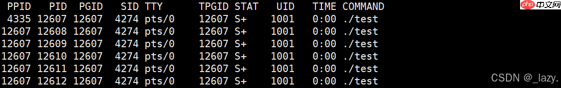 初识Linux · 进程（3）