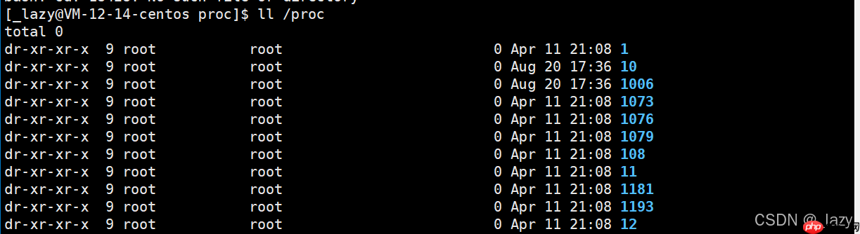 初识Linux · 进程（3）