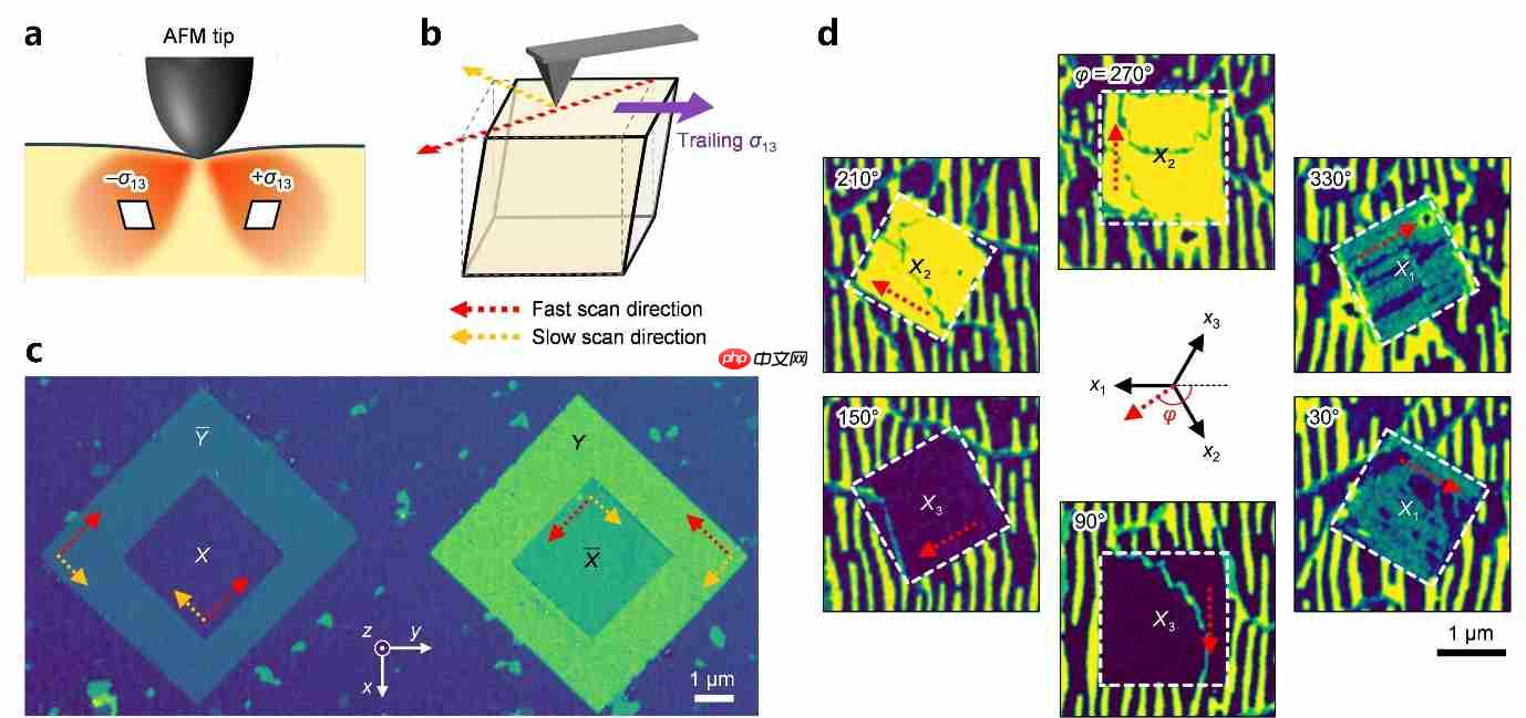 研究依托水冷磁体扫描力显微技术实现薄膜晶向高密读写新方法
