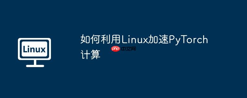 如何利用Linux加速PyTorch计算
