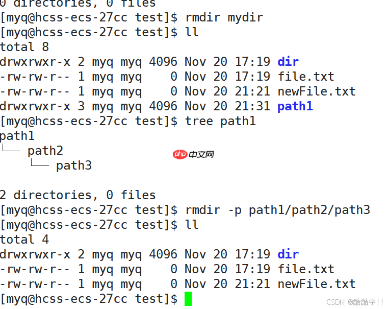 Linux基础指令（汇总）