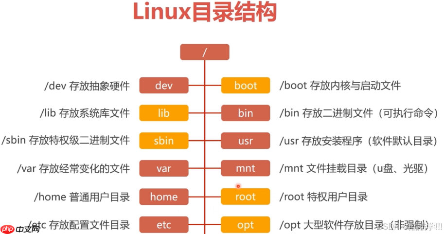 Linux基础指令（汇总）