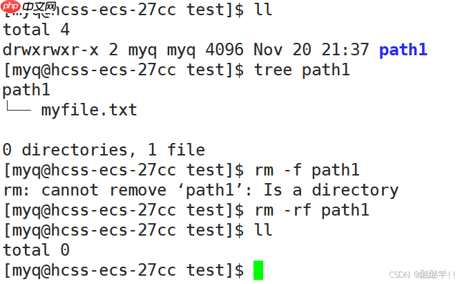 Linux基础指令（汇总）