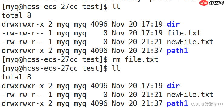 Linux基础指令（汇总）