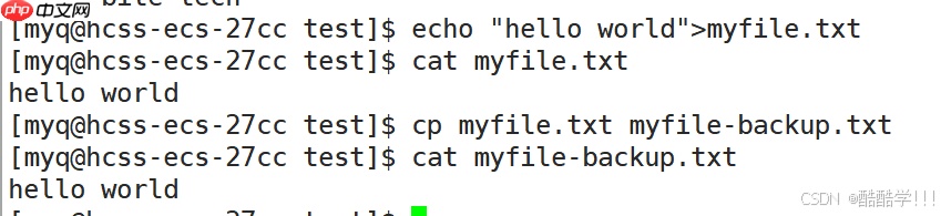 Linux基础指令（汇总）