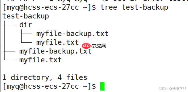 Linux基础指令（汇总）