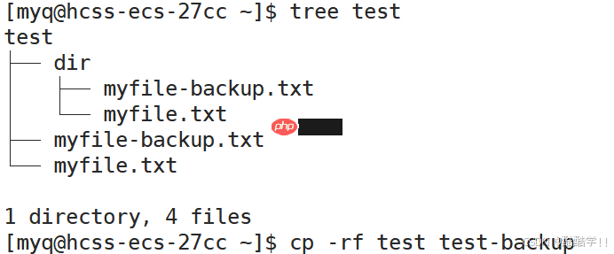 Linux基础指令（汇总）
