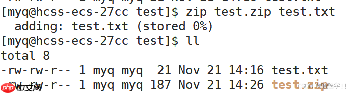 Linux基础指令（汇总）