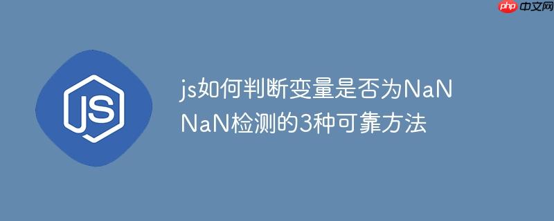 js如何判断变量是否为NaN NaN检测的3种可靠方法