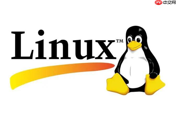 解决Linux下