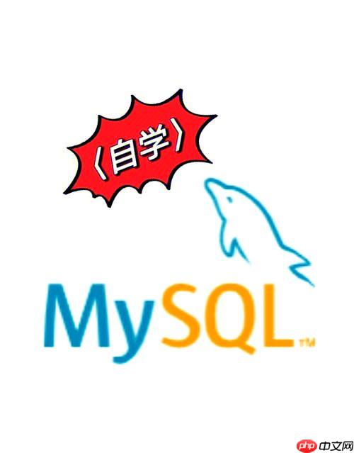 MySQL怎样分组汇总数据 GROUP BY与聚合函数实战