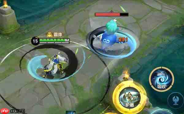 王者荣耀体验服赵怀真操作攻略