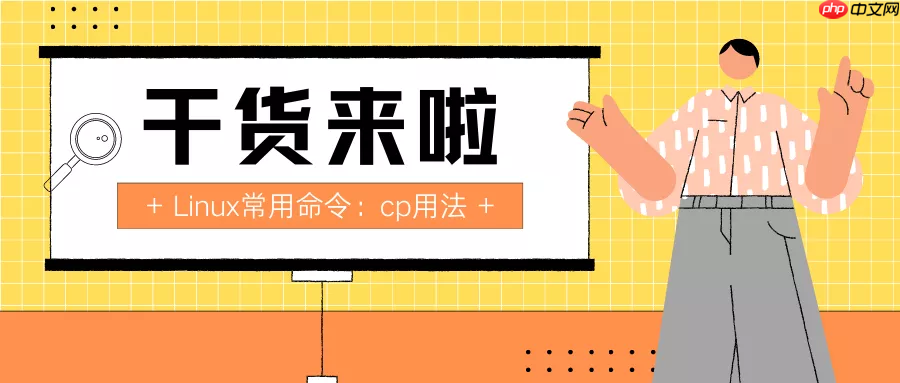 日更第2天：Linux常用命令之cp用法