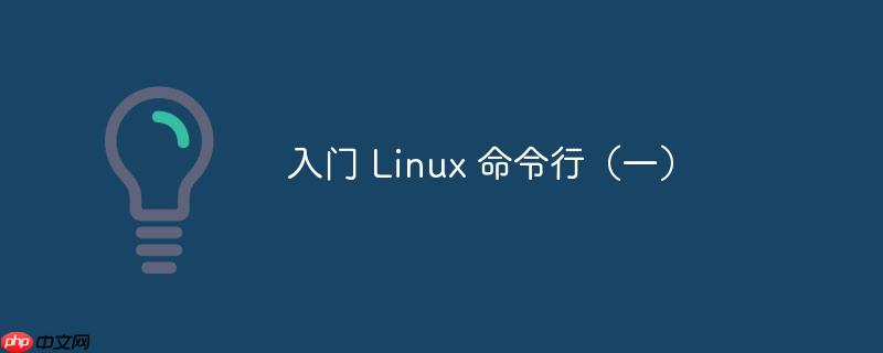 入门 Linux 命令行（一）