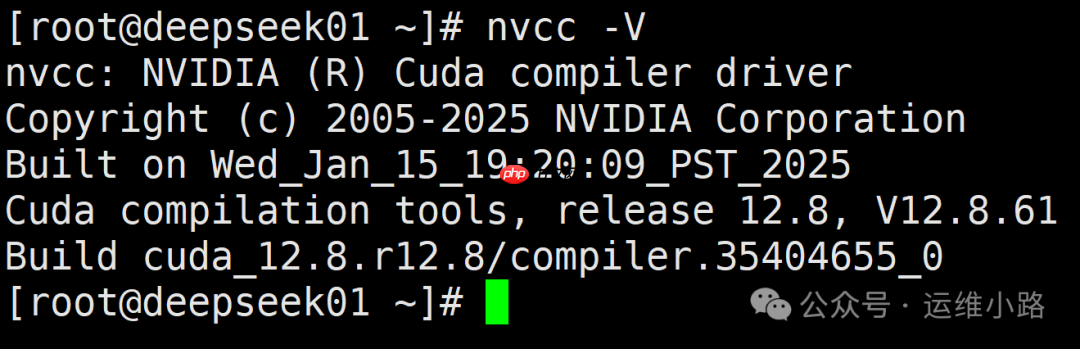 DeepSeek-进阶版部署(Linux+GPU)