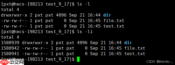 【Linux基础IO】从零到一：文件管理系统深度探索