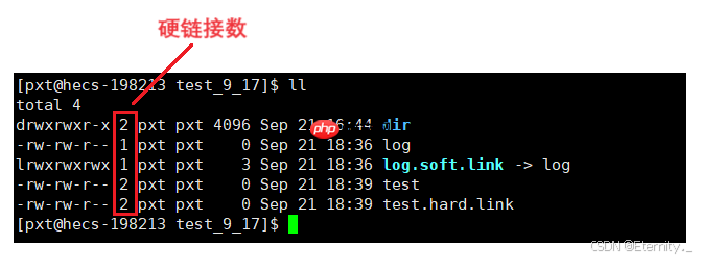 【Linux基础IO】从零到一：文件管理系统深度探索