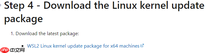 WSL2：Windows 亲生的 Linux 子系统