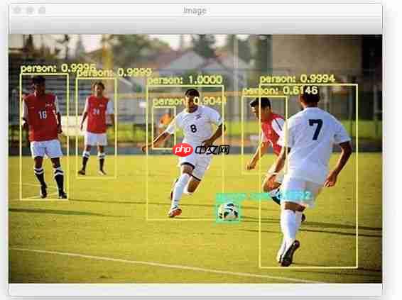 提高训练效率的实时目标检测（附源码）