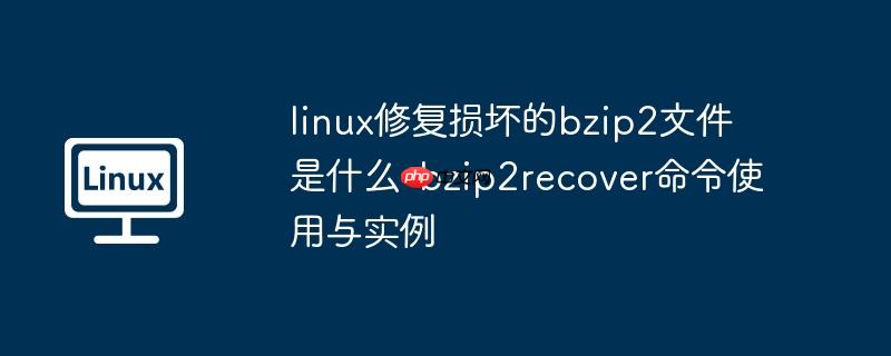 linux修复损坏的bzip2文件是什么-bzip2recover命令使用与实例