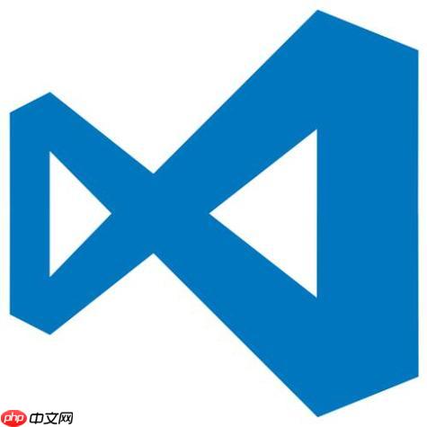 VSCode 对 Rust 语言的开发支持与调试技巧探讨