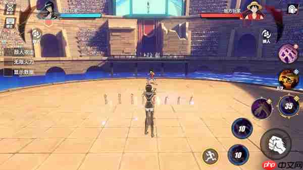 航海王热血航线罗宾加点攻略