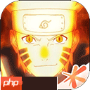 航海王热血航线罗宾加点攻略