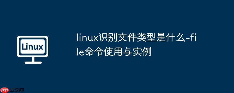 linux识别文件类型是什么-file命令使用与实例