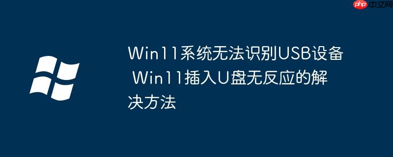 Win11系统无法识别USB设备 Win11插入U盘无反应的解决方法