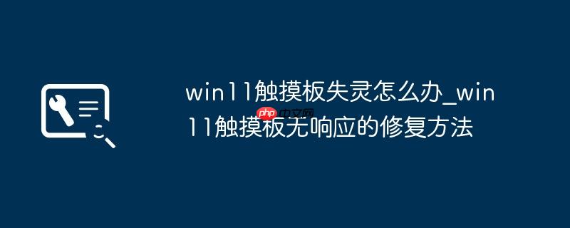 win11触摸板失灵怎么办_win11触摸板无响应的修复方法