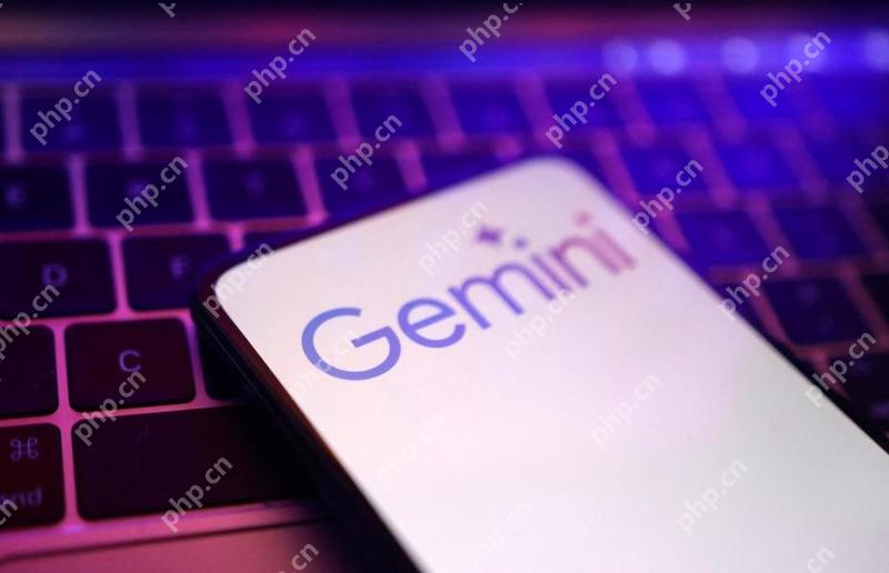 Gemini接入私有云环境步骤 Gemini企业内网部署配置详解 - 创想鸟