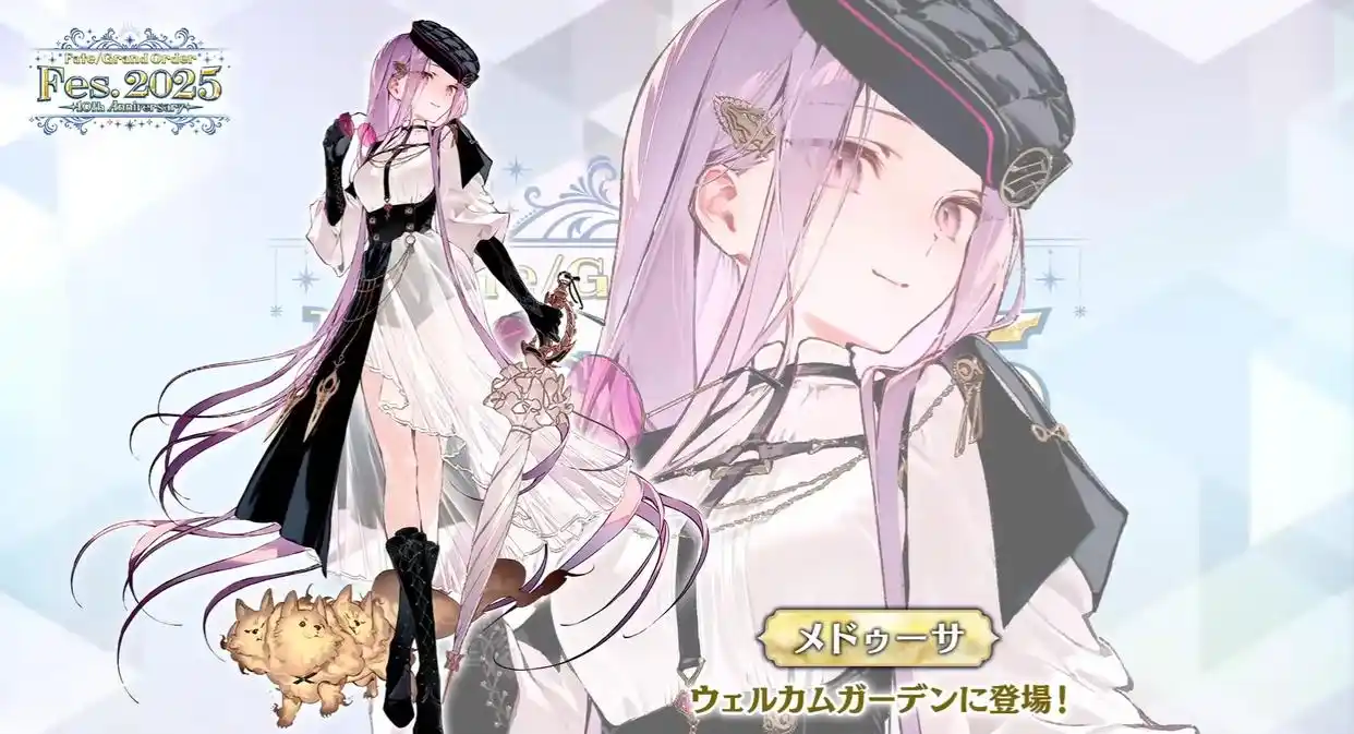 FGO日服十周年庆典从者立绘怎么样-FGO日服十周年庆典从者立绘情报