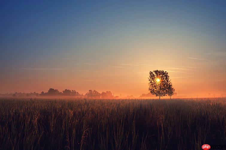 三星手机双清怎么操作？清除缓存和数据步骤指南