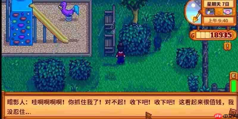 星露谷物语冬日谜团怎么过 冬日谜团任务流程攻略