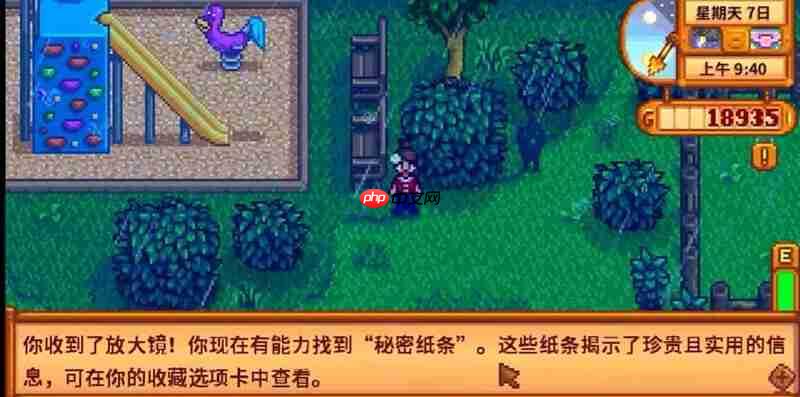 星露谷物语冬日谜团怎么过 冬日谜团任务流程攻略