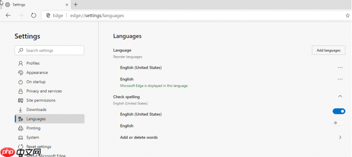 新版Edge Canary启用Dark主题 跟随Win10设置进行同步