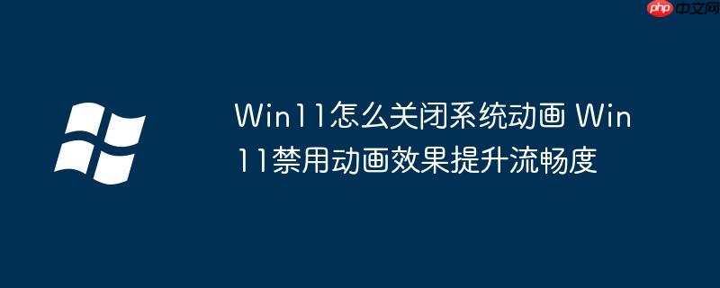 Win11怎么关闭系统动画 Win11禁用动画效果提升流畅度