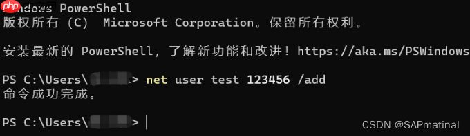 Windows 11设置登录账户密码有效期或密码永不过期的方法