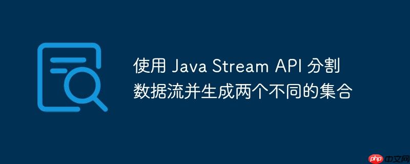 使用 Java Stream API 分割数据流并生成两个不同的集合