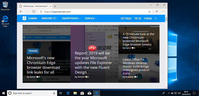 Win10 Edge Canary可阻止网站自动播放视频