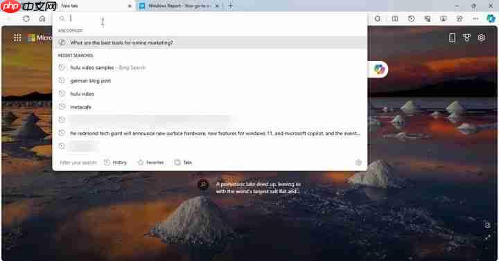 微软Edge 浏览器地址栏中整合 Copilot：暂时无法禁用