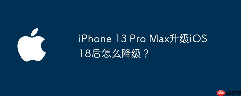iPhone 13 Pro Max升级iOS 18后怎么降级？